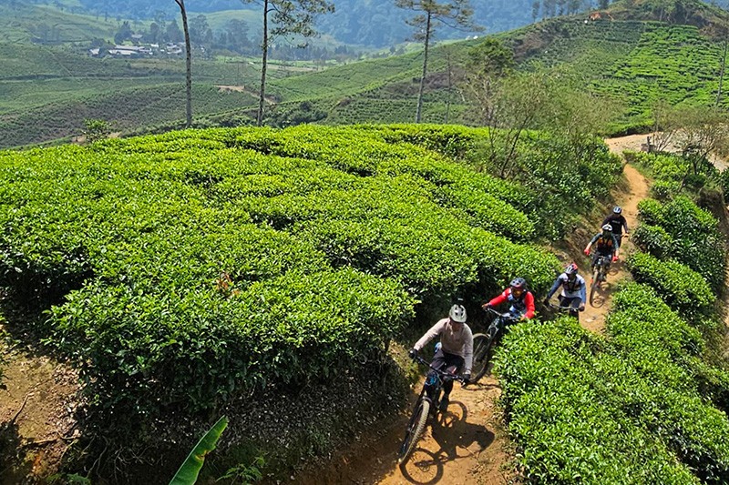 Sepeda Listrik Patrol E-Seven Harga Rp109 Juta Terabas Medan Ekstrem Pergunungan - Bagian 2