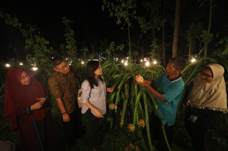 Kolaborasi Astra melalui YDBA dengan Polbangtan Malang Bina Petani Buah Naga - Bagian 3