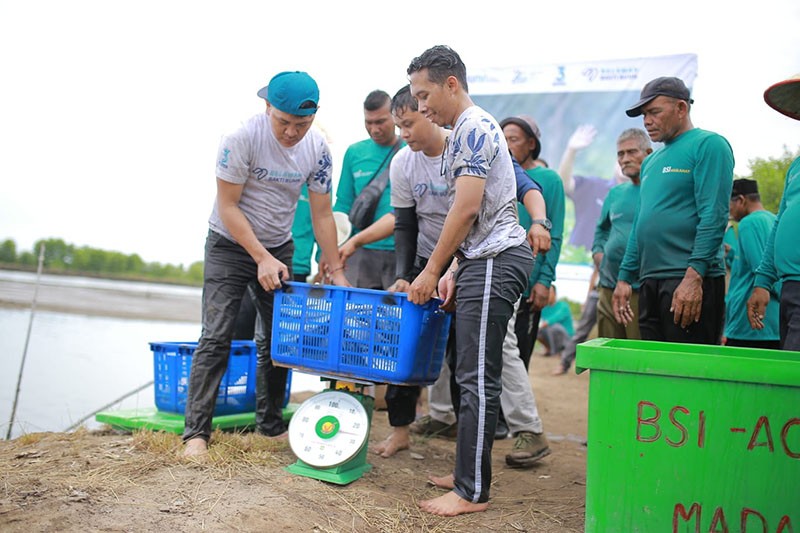 Tangkap Ikan Bandeng Bersama, BSI Dorong Kualitas Ekonomi Masyarakat Aceh - Bagian 4