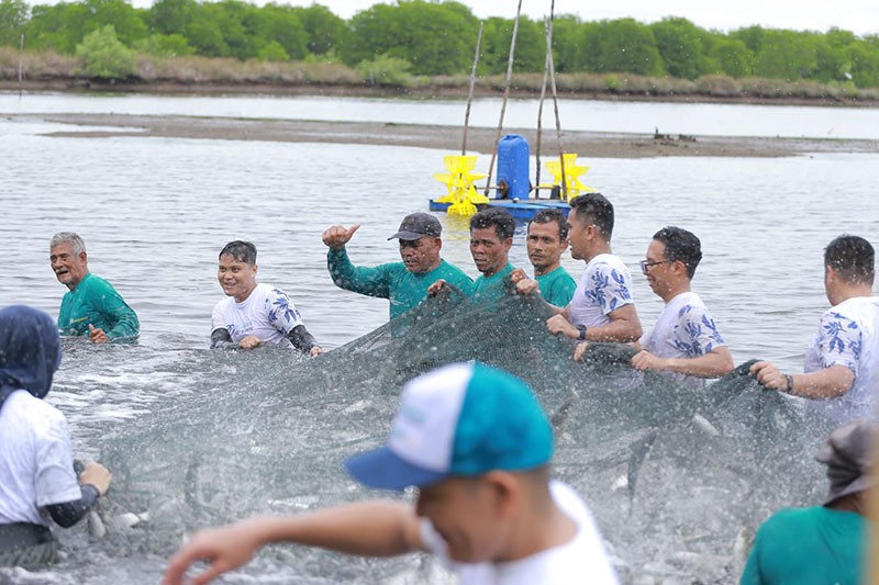 Tangkap Ikan Bandeng Bersama, BSI Dorong Kualitas Ekonomi Masyarakat Aceh - Bagian 3