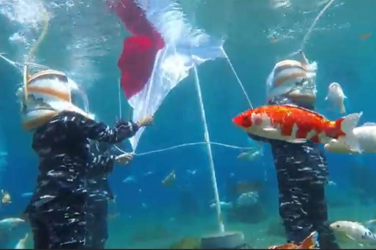 Libatkan 18 Penyelam, Upacara HUT Kemerdekaan Dalam Air di Umbul Ponggok Klaten Khidmat