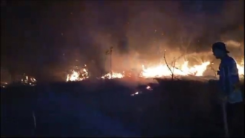 30 Hektare Hutan Produksi di Gunung Mas Kalteng Terbakar, Pemadaman Masih Berlangsung