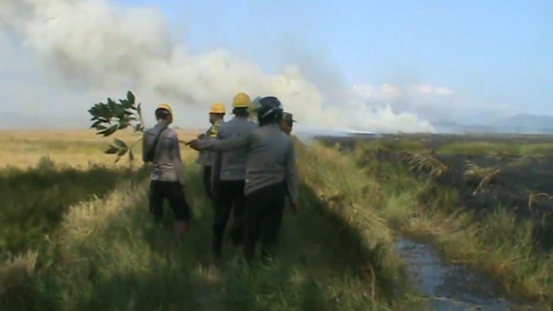 Waspada Karhutla, Petani Tanah Laut Kalsel Siagakan Mesin Pompa Air