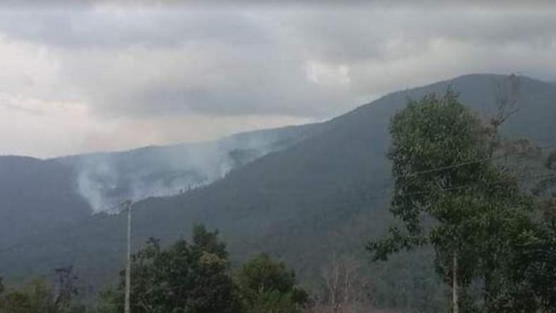 BMKG Pantau 2 Titik Panas Di Kolaka Utara, 227 Hektare Hutan Berpotensi ...