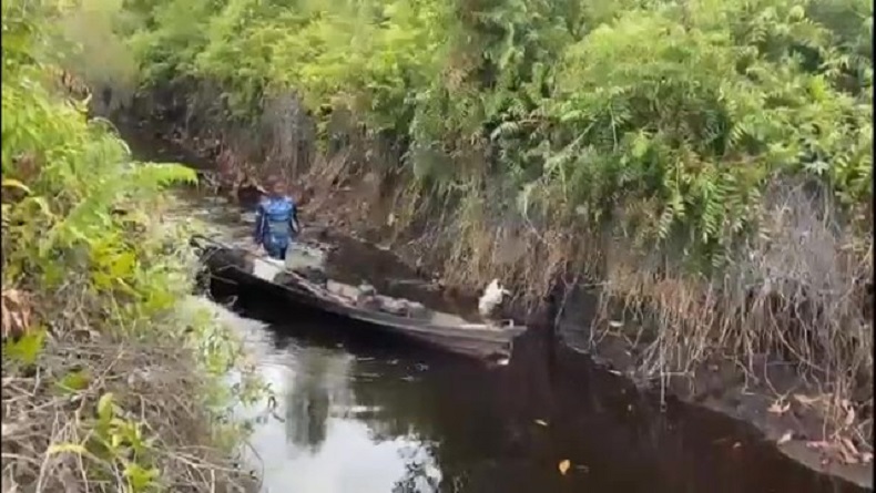 Lokasi Karhutla Sulit Dijangkau, Petugas Damkar Kalteng Terpaksa Gunakan Perahu 
