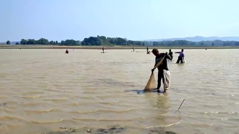Waduk Sedong Cirebon Mengering, Warga Beburu Ikan secara Massal