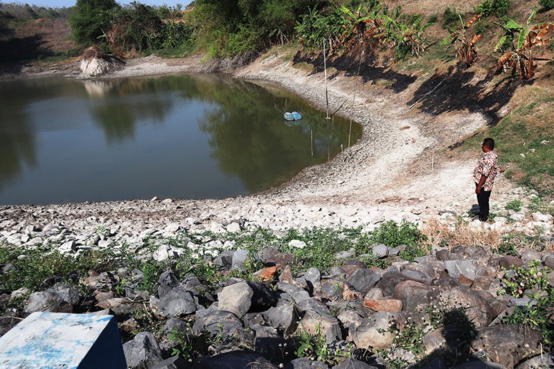 Belasan Embung di Jombang Mengering, 1.300 Hektare Sawah Kesulitan Air - Bagian 2