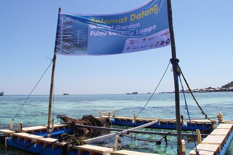 Restorasi Terumbu Karang untuk Perairan Makassar yang Lebih Baik - Bagian 2