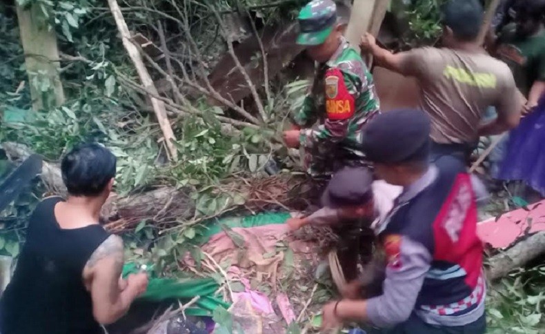 Tragis, Perempuan di Bengkulu Tewas Tertimpa Pohon saat Tidur dalam Warung