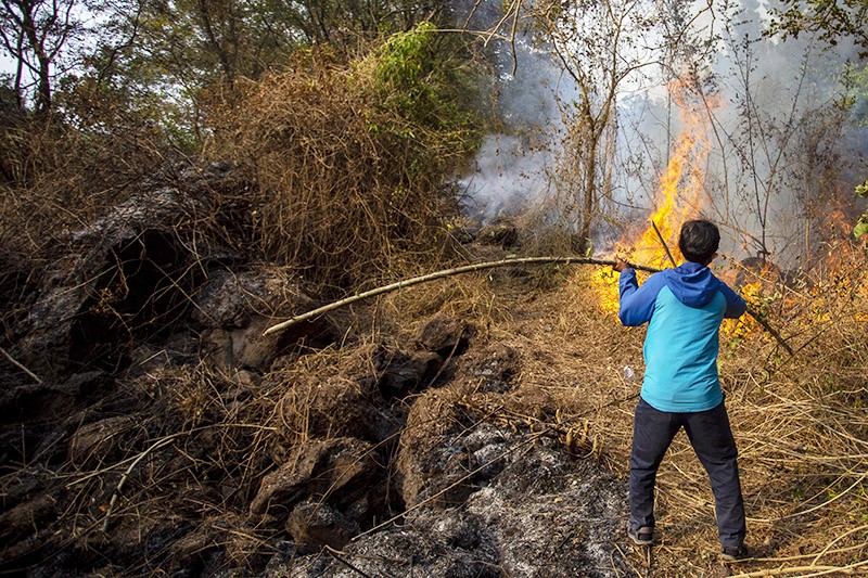 Kebakaran Hutan Gunung Ciremai Meluas, 125 Hektare Lahan Hangus