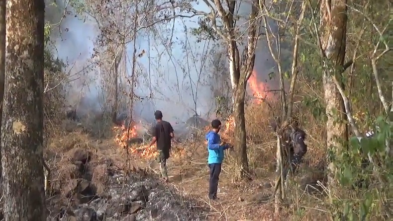 Api Kembali Muncul di Hutan Gunung Ciremai, Bupati Minta Polisi Lakukan Penyelidikan
