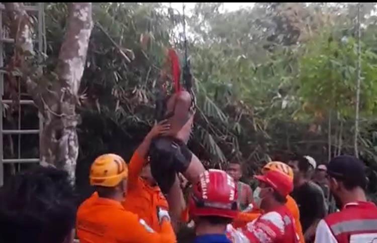 Warga Magelang Pingsan di Atas Pohon Setinggi 10 Meter, Evakuasi Dramatis