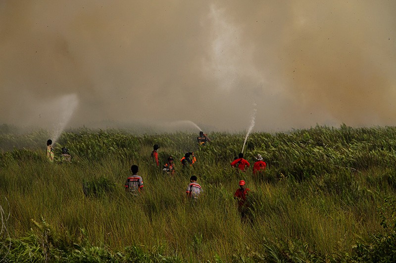 Petugas Gabungan Berjibaku Padamkan Kebakaran Hutan dan Lahan di Palangka Raya - Bagian 3