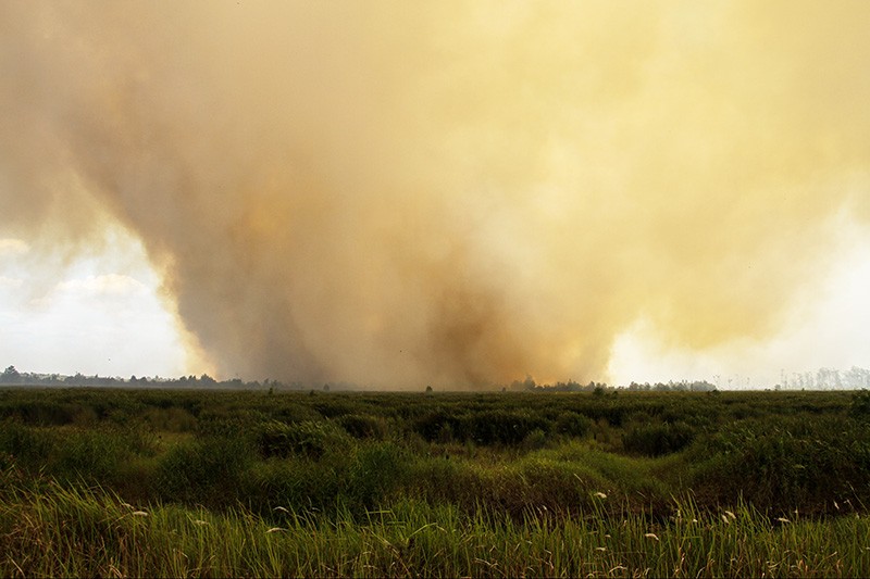 Petugas Gabungan Berjibaku Padamkan Kebakaran Hutan dan Lahan di Palangka Raya - Bagian 4