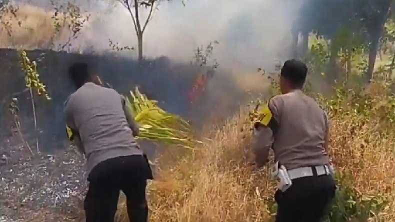 Karhutla Terjang Bumi Perkemahan Sindangkasih Majalengka gegara Warga Bakar Sampah