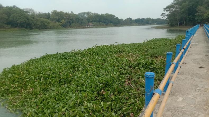 Cerita Duyeh Temukan Mayat Korban Penganiayaan oleh Oknum Paspampres di Karawang