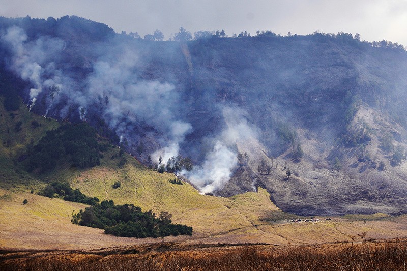 Kondisi Padang Savana Gunung Bromo Hangus Terbakar - Bagian 1
