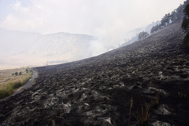 Kondisi Padang Savana Gunung Bromo Hangus Terbakar - Bagian 2