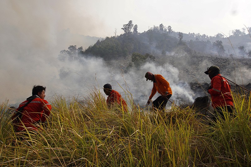 Kondisi Padang Savana Gunung Bromo Hangus Terbakar - Bagian 3