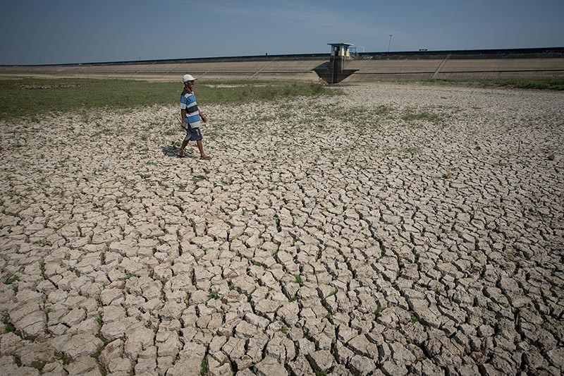 Waduk Botok Sragen Kering, 2.488 Hektare Sawah Terancam Gagal Panen - Bagian 1