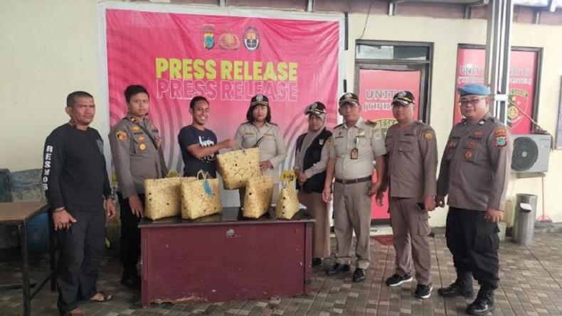 Polisi Amankan 5 Ekor Ayam Filipina di Pelabuhan Manado, Diduga Akan Diselundupkan