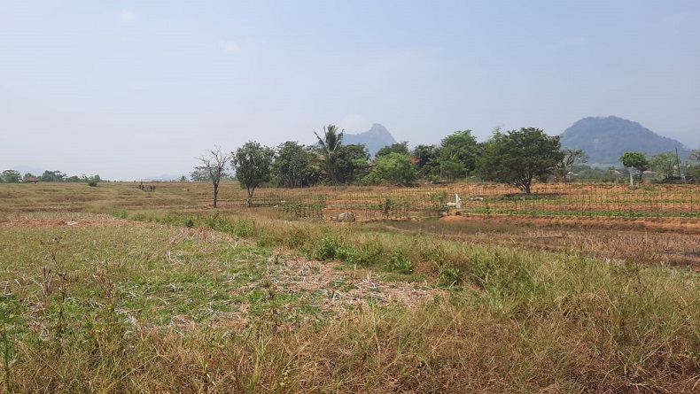 5 Desa di Karawang Kekeringan Parah, Gali Sumur 100 Meter Air Tak Keluar