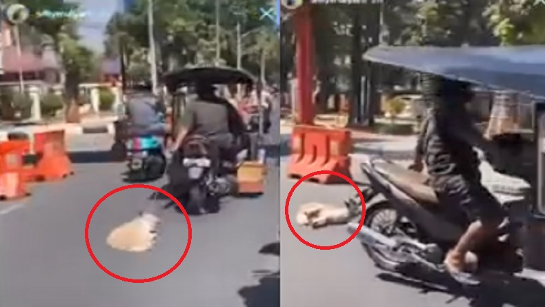 Viral Aksi Pengemudi Bentor Seret Anjing di Jalanan Kota Makassar
