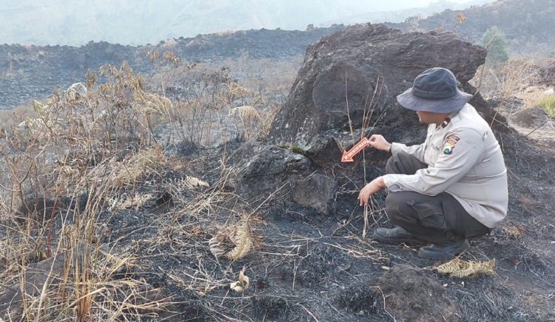 Gelar Olah TKP, Polres Malang Buru Pelaku Pembakaran Gunung Arjuno
