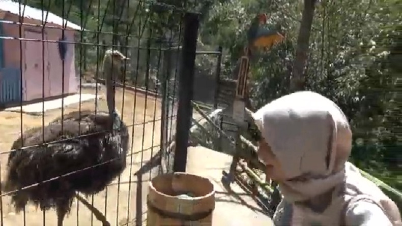 Ada Tempat Wisata Mirip Suasana Film Jumanji di Lembang KBB, Yuk Kita Intip