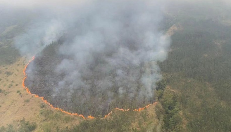 Kebakaran Landa 3 Gunung di Jatim, Gubernur Khofifah Serukan Salat Istisqo