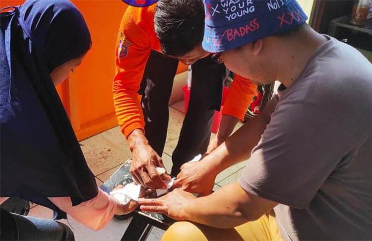 Ubur-Ubur Beracun Muncul di Pantai Selatan Gunungkidul, 4 Wisatawan Tersengat