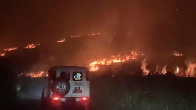 Pengakuan Wisatawan Dahsyatnya Kebakaran di Gunung Bromo: Bak Lidah Api Tertiup Angin