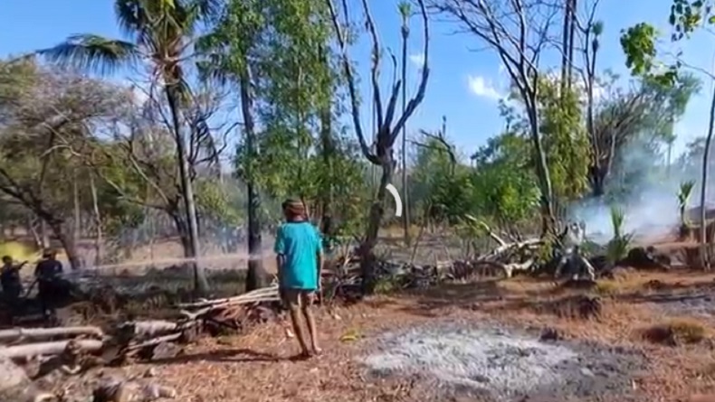 Kebakaran Lahan Pertanian di Karangsem Bali, 2 Sapi Warga Terkena Sambaran Api