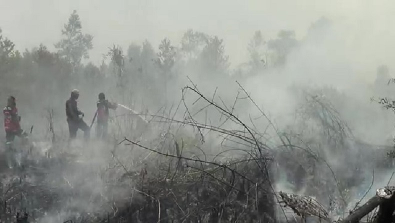 Karhutla di Palangka Raya Meluas ke Permukiman Warga, Bangunan Walet Nyaris Terbakar