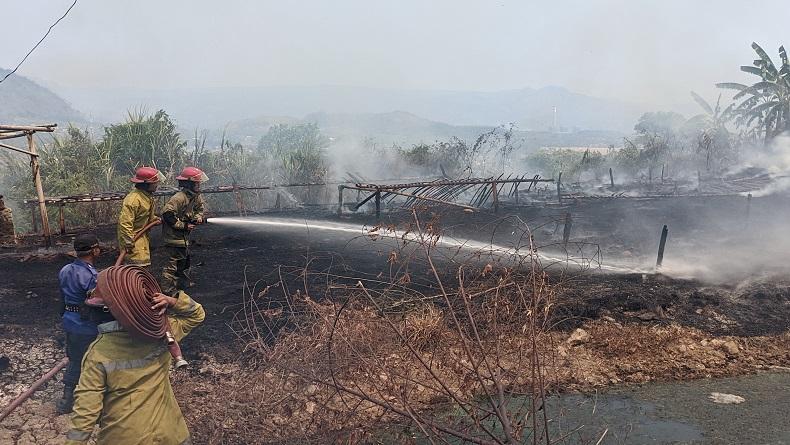 Tempat Pengolahan Ikan Asin di Citepus Sukabumi Terbakar, Pemilik Rugi Puluhan Juta