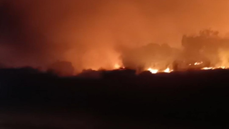 1 Hektare Lahan Kosong di Desa Semulut Bangka Barat Terbakar, Api Diduga dari Puntung Rokok