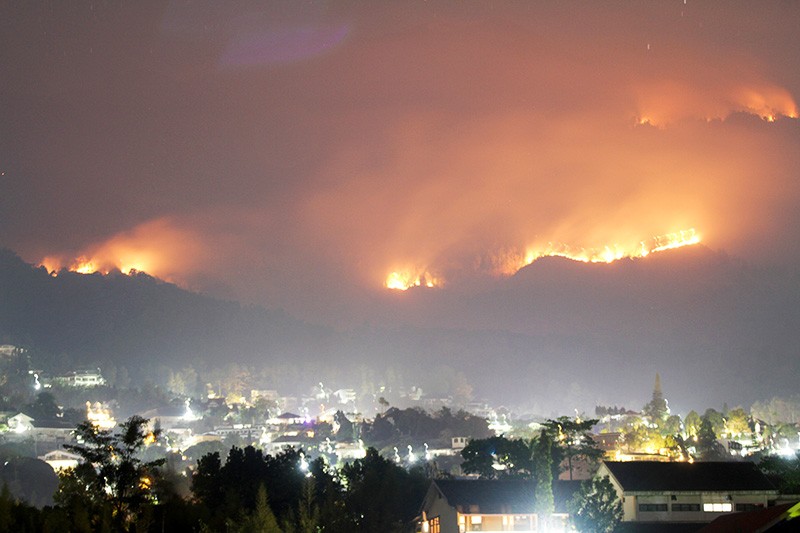 Kebakaran Meluas, Ribuan Hektare Hutan Gunung Arjuno Pasuruan Dilalap Api  - Bagian 1
