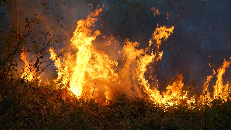Api Berkobar Dekat Area Perkantoran Palabuhanratu Sukabumi, Pameran HJKS Nyaris Terbakar