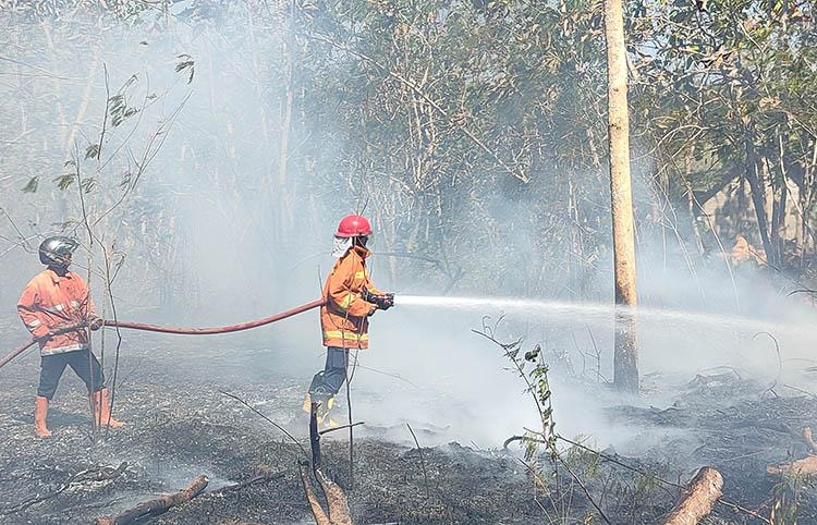 title Kebakaran di Gunungkidul Melonjak, 2 Bulan Ada 11 Lahan Terbakar Kebakaran di Gunungkidul Melonjak, 2 Bulan Ada 11 Lahan Terbakar