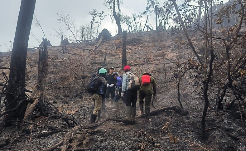Kebakaran Gunung Arjuno Meluas, Pemkot Batu Tetapkan Tanggap Darurat Bencana