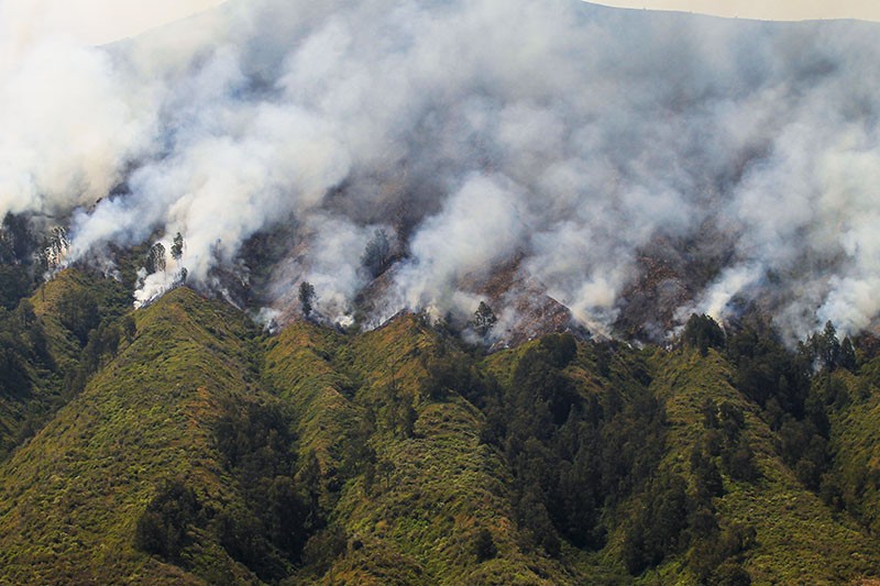Kebakaran Gunung Bromo Diduga gegara Flare Prewedding Meluas - Bagian 1