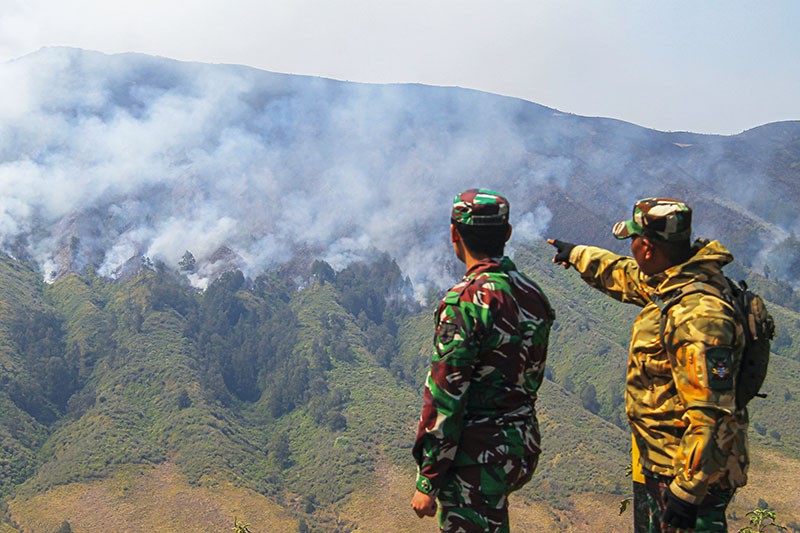 Kebakaran Gunung Bromo Diduga gegara Flare Prewedding Meluas - Bagian 3