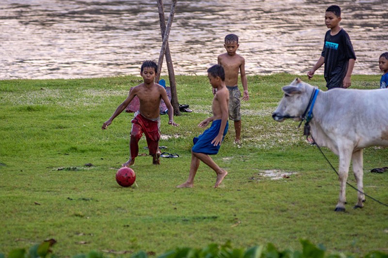 Ngeri, Anak-Anak Main Bola di Pinggir Sungai Palu Habitat Buaya Liar - Bagian 2