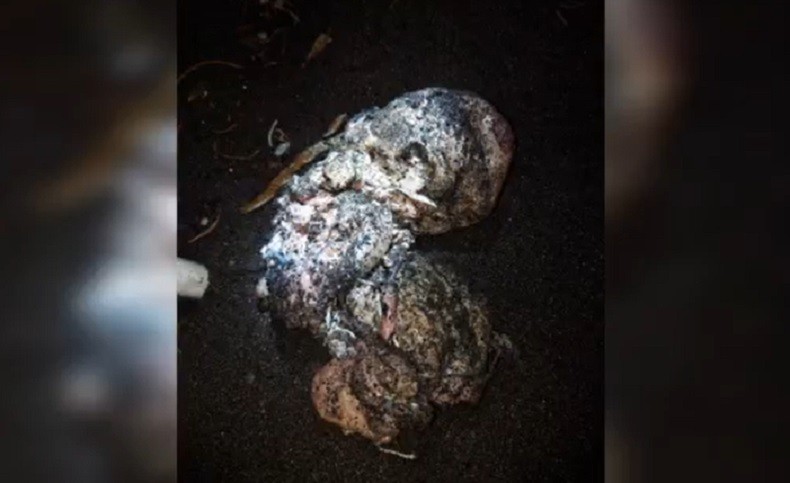 Organ Tubuh Manusia Ditemukan Berceceran di Pantai Yeh Malet Karangasem