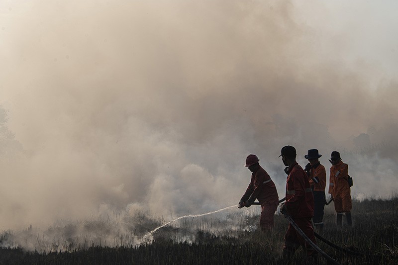 Kebakaran 4.000 Hektare Lahan di Sumatera Selatan  - Bagian 3