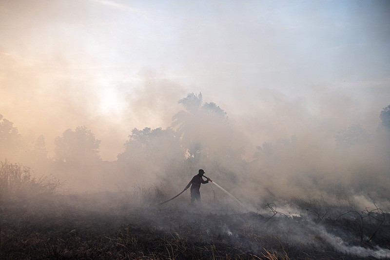 Kebakaran 4.000 Hektare Lahan di Sumatera Selatan  - Bagian 2