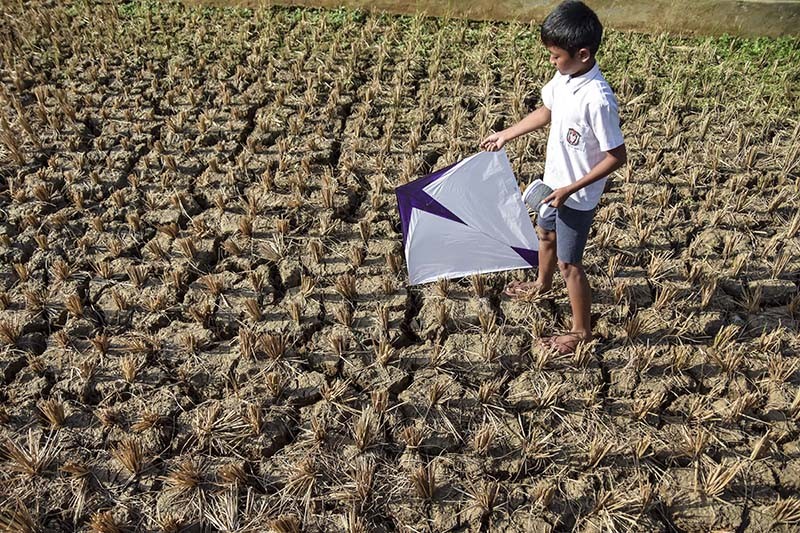 Hektare Lahan Pertanian Di Indonesia Kekeringan