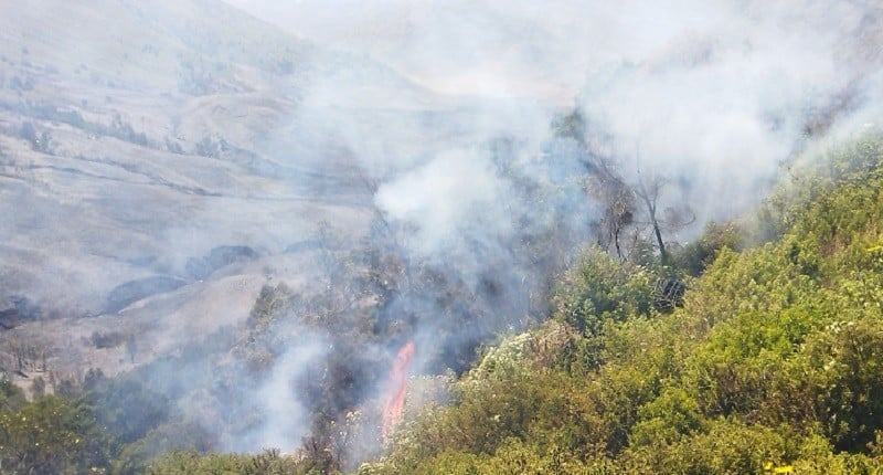 Angin Terkendali, Pemadaman Api di Gunung Bromo Lewat Udara Kembali Dilanjutkan 