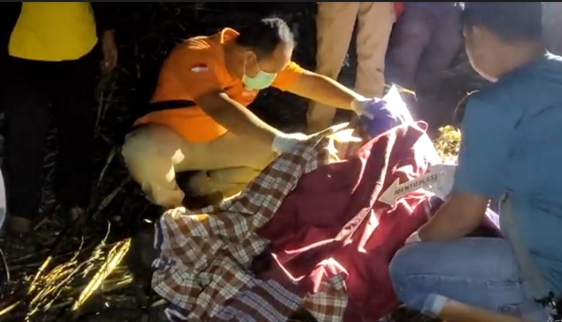 Petani Mojokerto Tewas Terbakar di Ladang Tebu, Terjebak saat Bersihkan Rumput