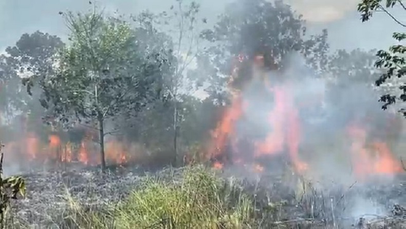 Asap Karhutla Selimuti Palangka Raya Setiap Pagi, Ganggu Aktivitas dan Kesehatan Warga